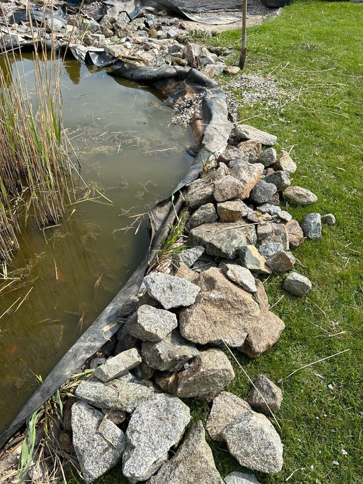 Granitsteine / Feldsteine zur Gartengestaltung zu verschenken in Eslarn