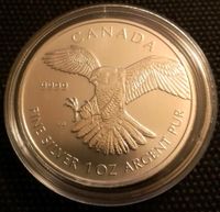 1oz Birds of Prey Falke Silbermünze/ Maple Leaf maple leaf Bayern - Augsburg Vorschau