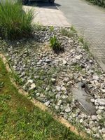 Zu verschenken Bruchsteine Gartensteine Nordrhein-Westfalen - Werl Vorschau