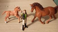 Pferd-Fohlen-Person Schleich Schleswig-Holstein - Norderstedt Vorschau