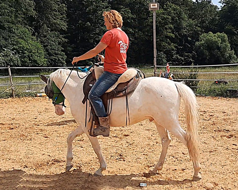 Unterricht/Kurse/Beritt von pro ride Horsemanship CoTrainerin in Laubach (Hunsrück)