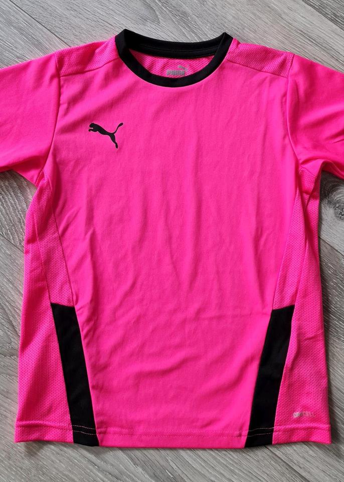 Puma Funktionsshirt Sport T-Shirt Pink Gr. 140 in Henstedt-Ulzburg