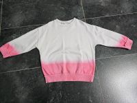 Baby Mädchen Sweatshirt von Zara Gr.110 Nordrhein-Westfalen - Hamm Vorschau