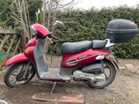 Moped Kymko People 50 Typ B1 Berlin - Pankow Vorschau