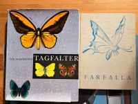 Schmetterlinge Tagfalter Farfalla Niedersachsen - Sauensiek Vorschau