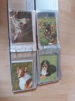 Alben /Hunde-Postkartensammlung DDR Sachsen - Oßling Vorschau