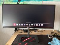 LG 29zollFull HD Monitor Baden-Württemberg - Bingen Vorschau