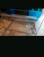 Terrarium 75 x 45 x 37 Rheinland-Pfalz - Freimersheim(Alzey-Worms) Vorschau