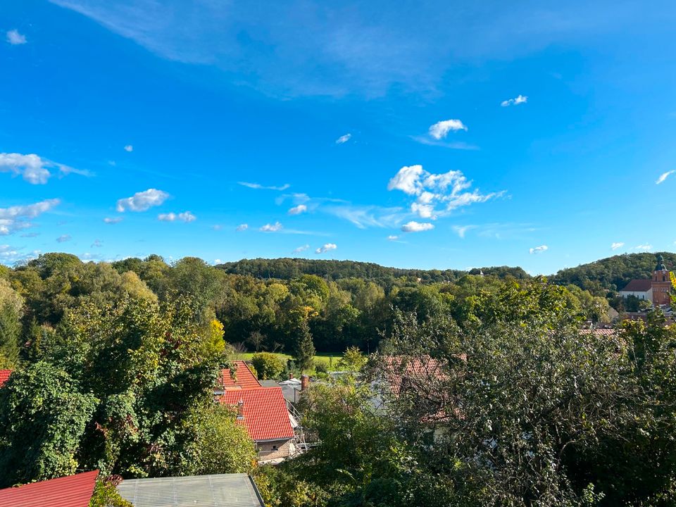 Große Villa zu verkaufen - Mietkauf möglich! in Buckow (Märkische Schweiz)