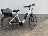 E-Bike von Falter  28“ Mecklenburg-Vorpommern - Greifswald Vorschau