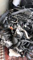 Motor Komplett VW Passat 3C 2.0.DIESEL CBA 103KW 140PS Nordrhein-Westfalen - Wesel Vorschau