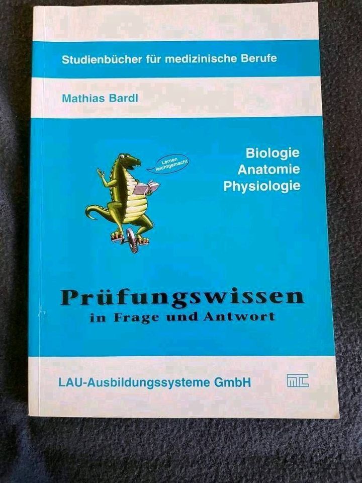 Buch Alltägliche Dinge, Chronik, Don Quijote, Pipi Langstrumpf in Parchtitz