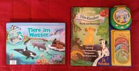 Kinder Aktion Spiele Lesen Sehen Hören, Disney, 4-7 Jahre Baden-Württemberg - Leutenbach Vorschau