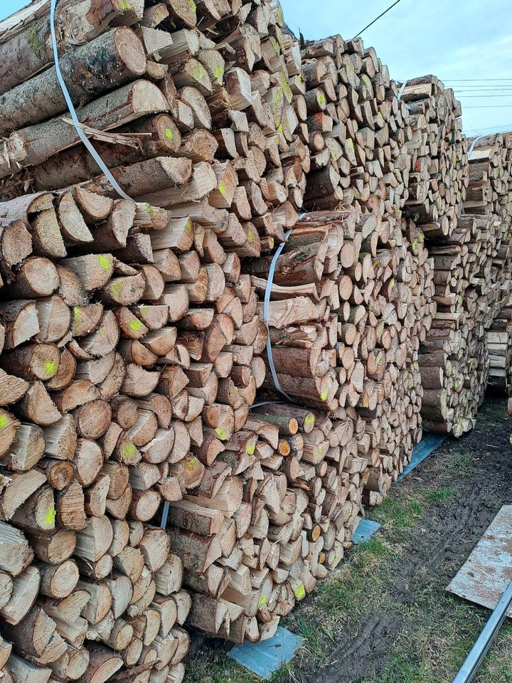 30 Ster Brennholz Fichte Gebündelt in Krumbach Schwaben