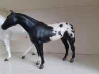 Breyer Stud Spider Bremen - Oberneuland Vorschau