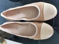 Ballerinas von Caprice Gr. 39 Baden-Württemberg - Rheinfelden (Baden) Vorschau