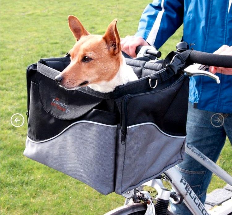 Trixie Fahrrad Front Box für Lenker für Hunde in Ammersbek