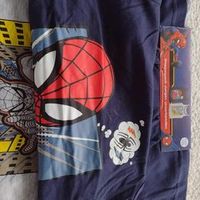 Spiderman 2 Stück T-shirt Große 134/140 Hessen - Offenbach Vorschau