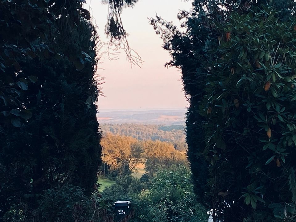 Baugrundstück Schollbrunn im Odenwald in Binau