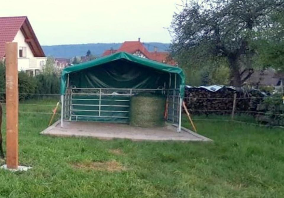 Weideunterstand - Weidezelt - Weidehütte in Trippstadt