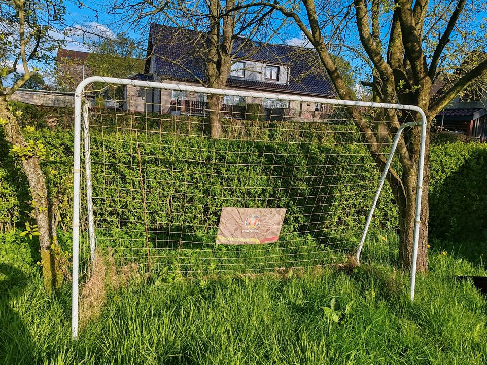 Fussballtor ohne Netz in Wismar