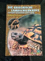 Die griechische Landschildkröte von Michael Schardt Nordrhein-Westfalen - Mettmann Vorschau