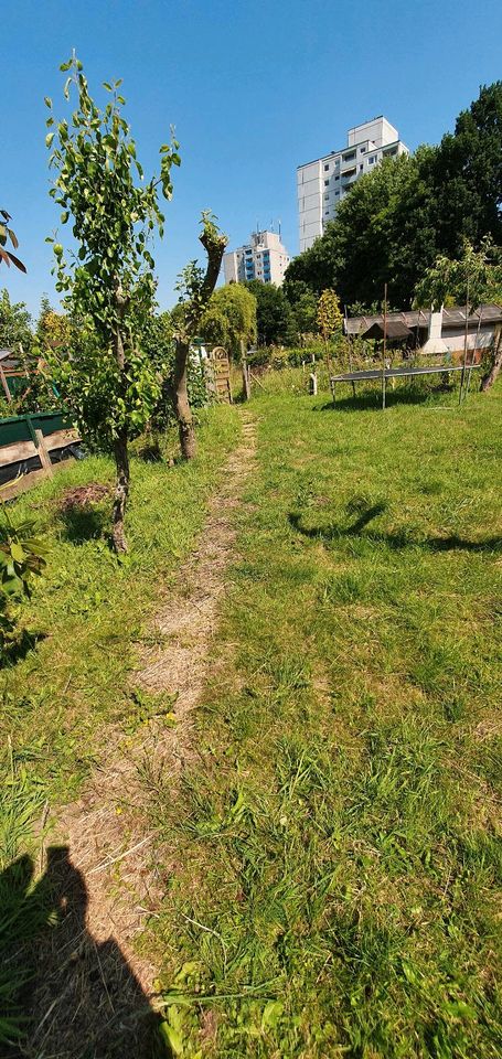 Schrebergarten in Uetersen