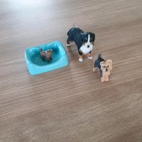 Schleich Hunde Nordfriesland - Tönning Vorschau