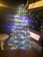 Künstlicher Weihnachtsbaum 200 cm mit LED 's Brandenburg - Templin Vorschau