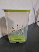 Tupperware Klimaoase Hoch Neu! Nordrhein-Westfalen - Altena Vorschau