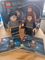 Lego 76393 Harry Potter Figuren Harry und Hermine Niedersachsen - Oldenburg Vorschau