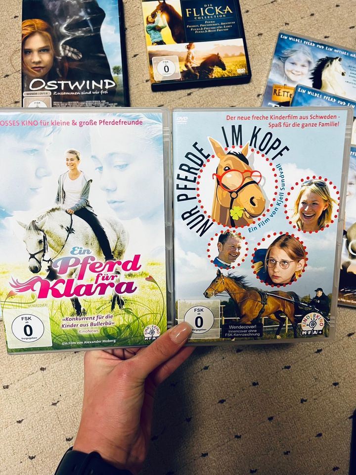 Pferde Packet (Bücher,Filme) in Niederkrüchten