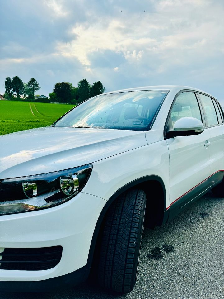 Volkswagen Tiguan 1.4 TSI, Sitzheizung, Alufelgen, Top Zustand in Alsdorf