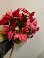 Künstlicher Weihnachtsstern Strauss Weihnachtsdeko rot Blumen 50c Nordrhein-Westfalen - Gelsenkirchen Vorschau