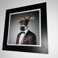 Kuh im Anzug, James Bond, Kunst Fotomontage Fotografie im Rahmen Bayern - Wolfratshausen Vorschau