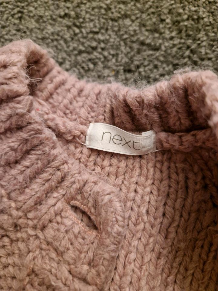 Next Cardigan Strickjacke Chunky in Rietberg