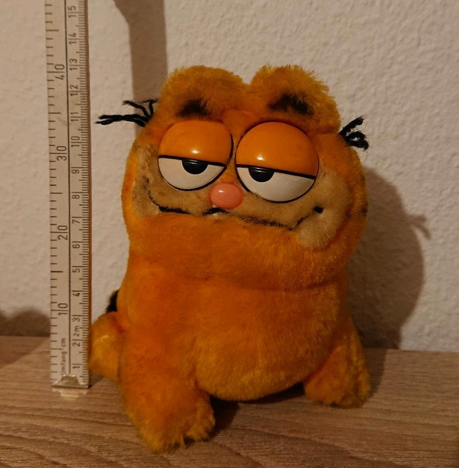Garfield Plüschtier in Eppstein