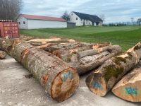 Baumstämme, Stammholz, Buche, Esche, XXL Bayern - Maisach Vorschau