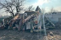 Stammholz / Brennholz Nordrhein-Westfalen - Kerpen Vorschau
