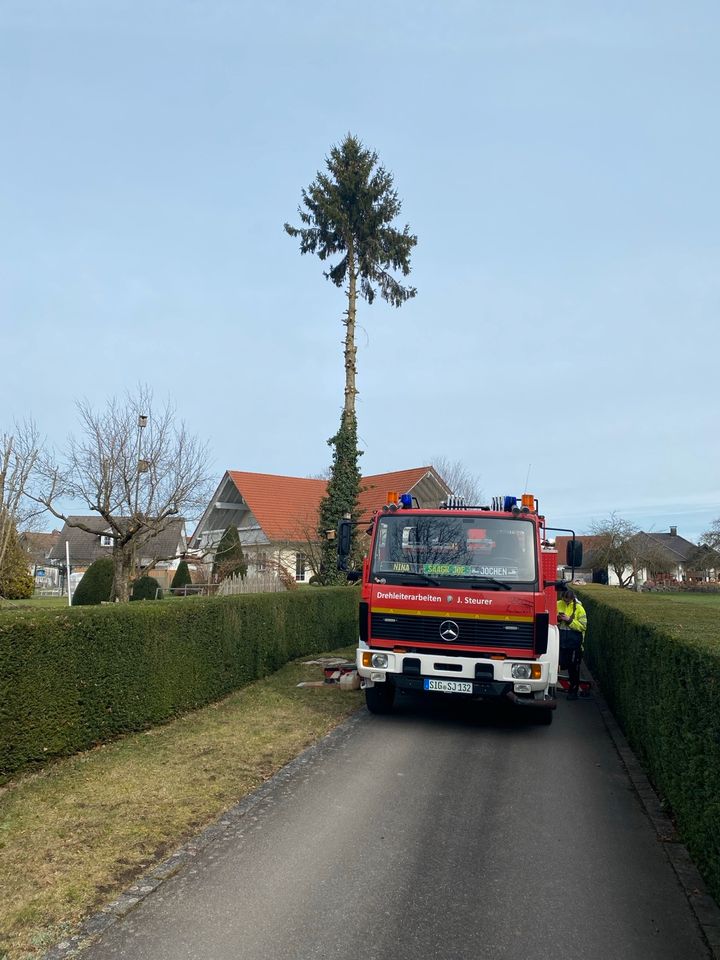 Baumfällungen/Höhenarbeiten/Drehleiterarbeiten in Hohentengen