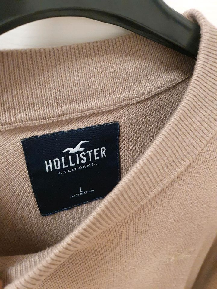 Pullover Hollister Gr. L in Rödinghausen