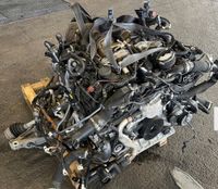 Motor Audi RSQ8 Hybrid DHUB Brandenburg - Frankfurt (Oder) Vorschau