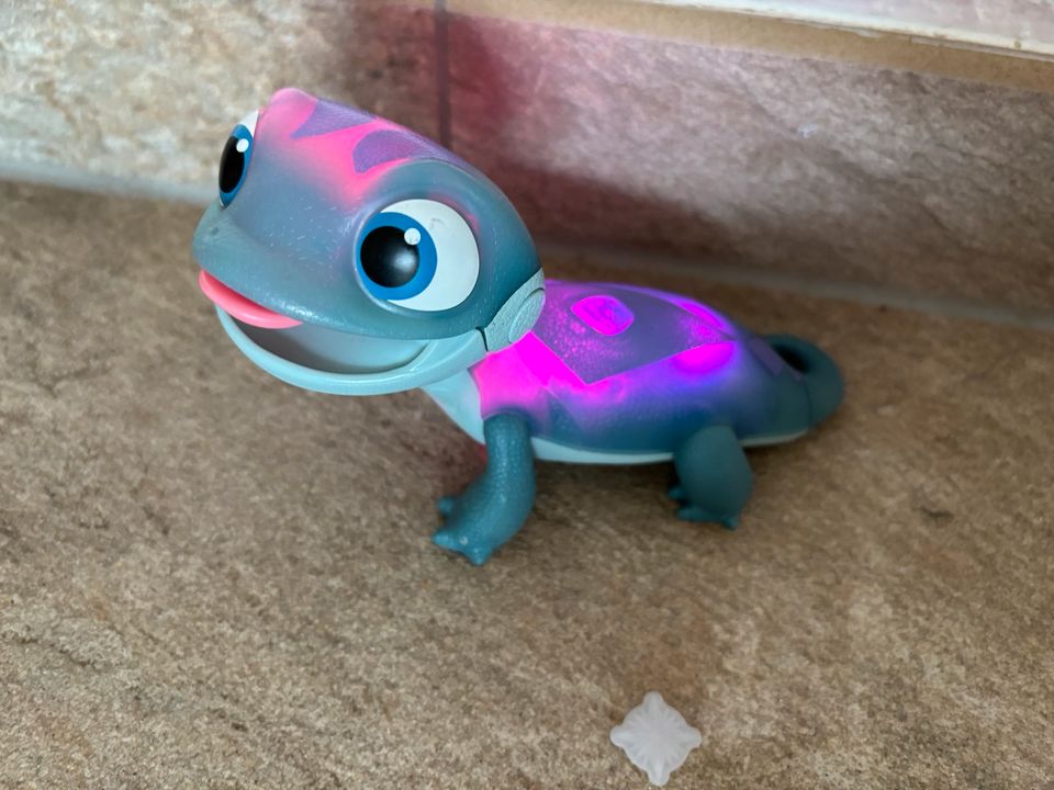 Elsa Gecko Salamander Feuergeist in Dortmund