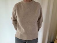 Closed Pullover NEU 100 % Wolle Niedersachsen - Grünendeich Niederelbe Vorschau