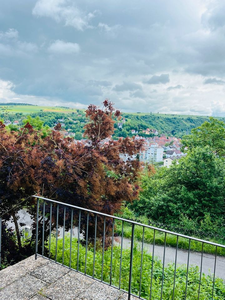 Möckmühl- Idyllisches 2 Familienhaus mit Ausbau Möglichkeit ein weiteren Whg. im DG in Möckmühl