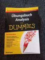 Übungsbuch Analysis für Dummies Thüringen - Erfurt Vorschau