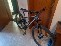 Dirtbike Mountainbike Bergamont revox 4 fahrrad Hessen - Eppstein Vorschau