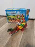 Playmobil country pferdekutsche Rheinland-Pfalz - Kirchheimbolanden Vorschau