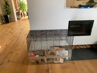 Käfig für Kleintiere für artgerechte Haltung und viel Zubehör München - Ramersdorf-Perlach Vorschau