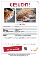 Kater vermisst (seit 22.3.24) Schleswig-Holstein - Jevenstedt Vorschau